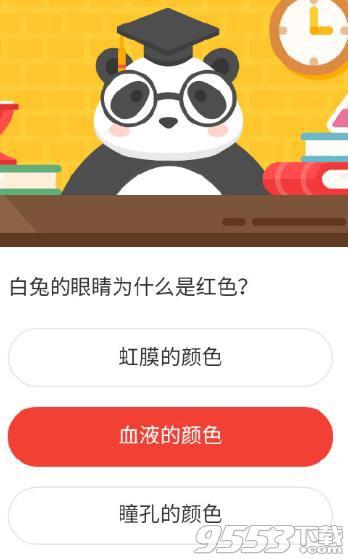 白兔的眼睛为什么是红色 森林驿站2020年11月23日森林小课堂答案