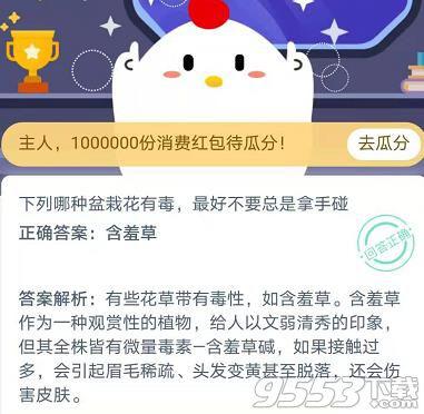 哪种盆栽花有毒最好不要总是拿手碰 蚂蚁庄园2020年11月23日答案