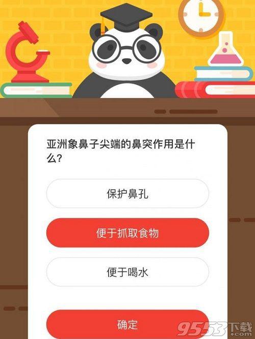 亚洲象鼻子尖端的鼻突作用是  森林驿站11月13日森林小课堂答案