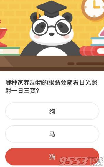 哪种家养动物的眼睛会随着日光照射一日三变 森林驿站11月4日答案