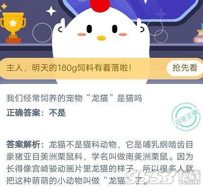 蚂蚁庄园龙猫是猫吗 庄园小课堂2020年10月19日答案