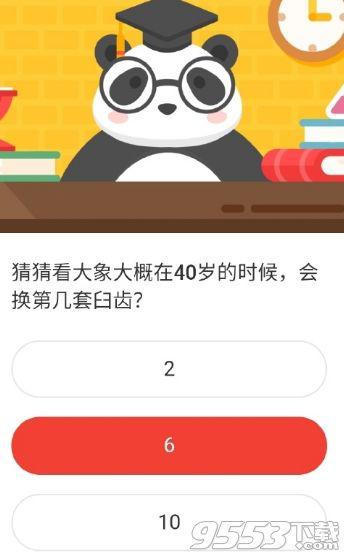 大象大概在40岁的时候会换第几套臼齿 森林驿站2020年10月15日森林小课堂答案