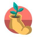 我的日常打卡最新版